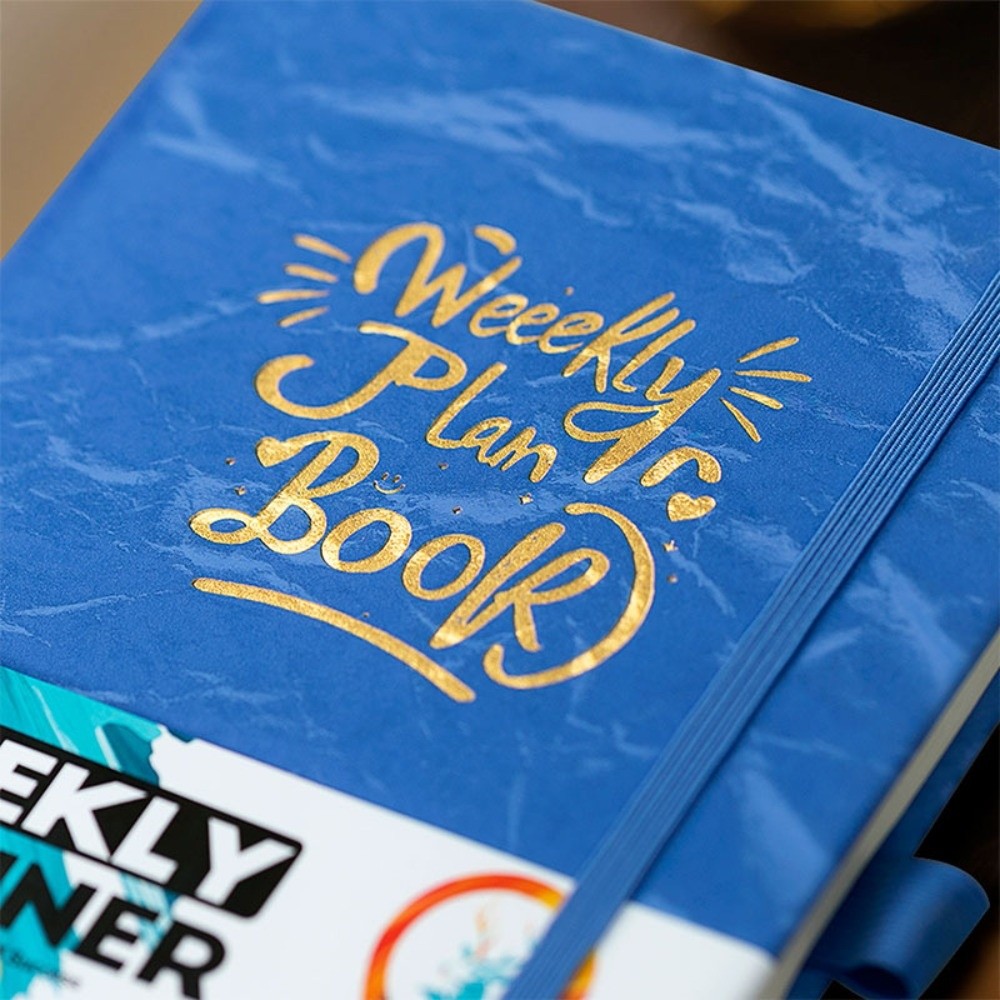 Английская версия еженедельног – обзор и цена Planner Weekly Budget
